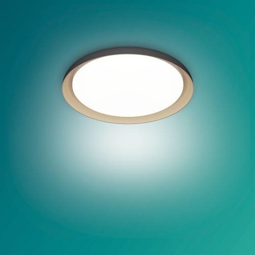 PHILIPS Pebblo UE Ceiling SS B 10W 27K