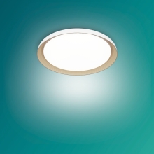 PHILIPS Pebblo UE Ceiling SS W 10W 27K